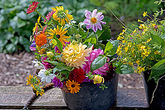 彩色,夏日花束,花园,花