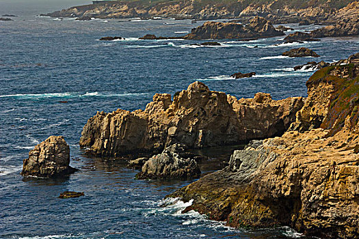 岩石,海岸线,州立公园,大,加利福尼亚,美国