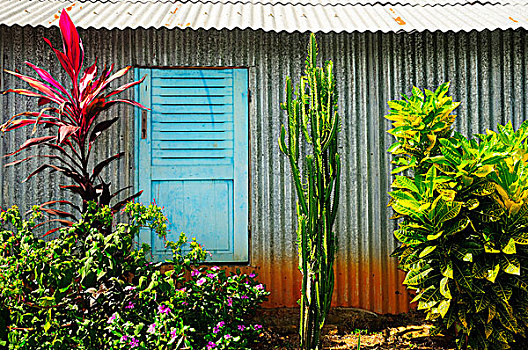 波纹板,小屋,蓝色,百叶窗,马约特,非洲