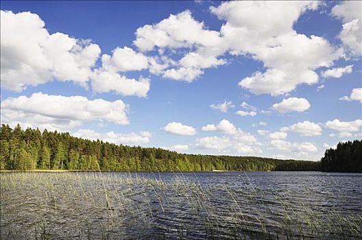 湖,云,上方,北方,瑞典