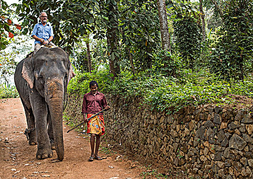 游客,骑,大象,驱象者,引导,喀拉拉,印度,亚洲