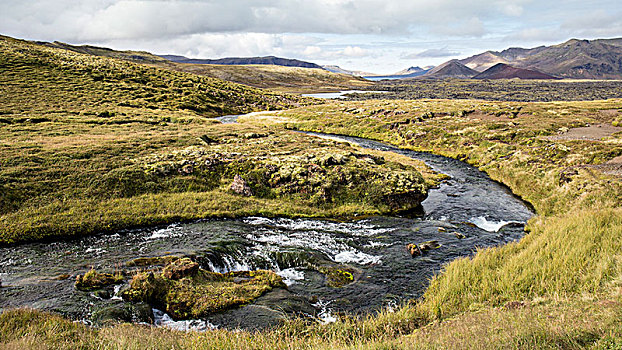 草,风景,冰岛