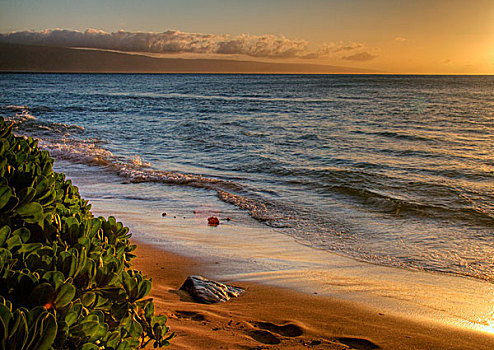 日落,金色,沙滩,西部,毛伊岛,夏威夷,岛屿,远景