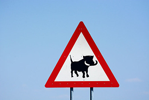 警告标识,小心,疣猪,区域,纳米比亚,非洲