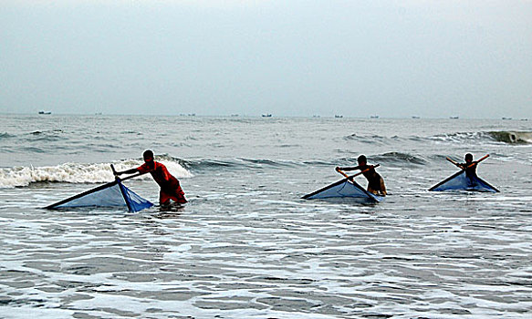 渔民,抓住,虾,手工制作,网,市场,孟加拉,四月,2008年