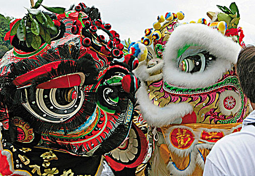 狮子,跳舞,节日,香港