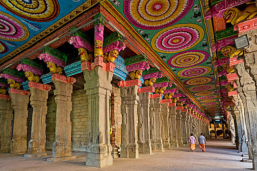 彩色,涂绘,天花板,石头,柱子,庙宇,大厅,安曼,马杜赖,泰米尔纳德邦,印度,亚洲