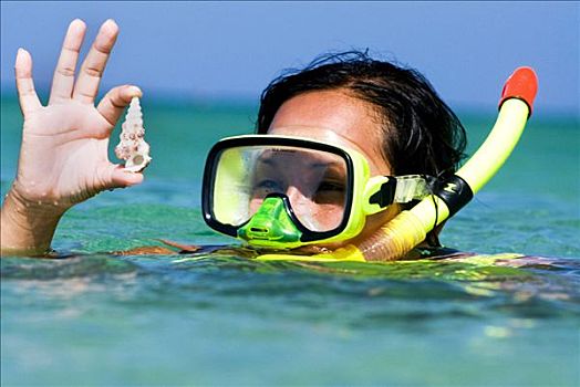 泰国,普吉岛,卡隆海滩,女人,面具,通气管,热带,水,拿着,海贝