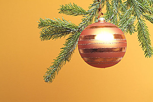 枝条,特写,圣诞球,红色,圣诞节,圣诞时节,圣诞气氛,装饰,圣诞装饰,装饰物,云杉,球,悬挂,静物,橙色背景,工作室