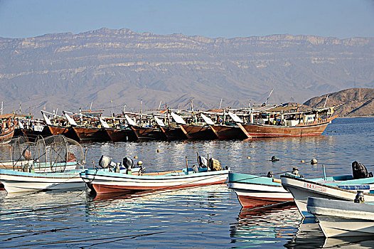 阿曼苏丹国,渔船,独桅三角帆船,港口