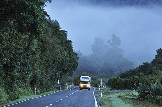 公路,雨林,西海岸,南岛,新西兰