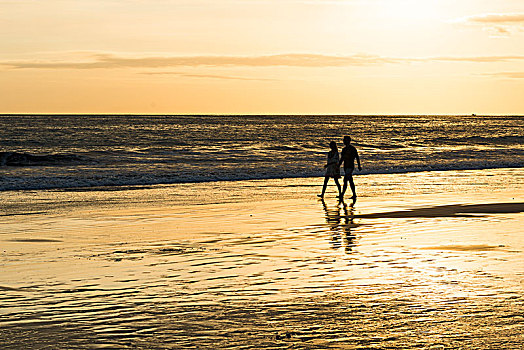 情侣,男人,女人,沙滩漫步,日落,干盐湖,国家公园,哥斯达黎加,中美洲
