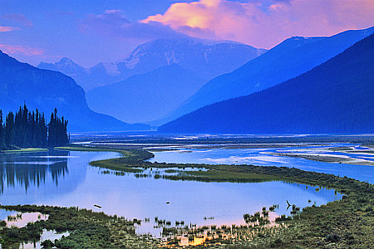 河,山峦,背景,山谷,山,碧玉国家公园,艾伯塔省,加拿大