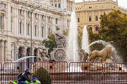 马车,狮子,雕塑,喷泉,西贝列斯广场,马德里,西班牙
