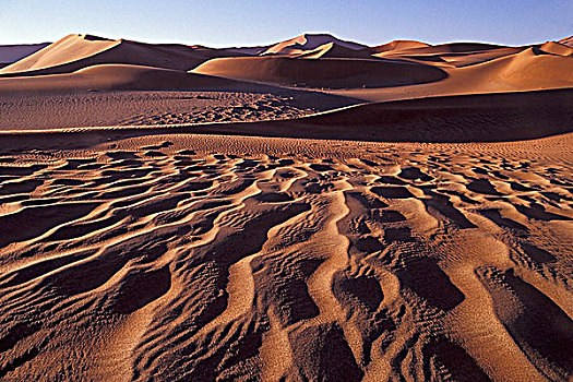 沙丘,纳米比诺克陆夫国家公园,索苏维来地区,纳米布沙漠,纳米比亚,非洲