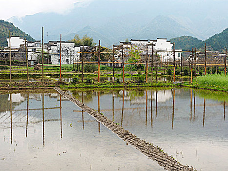 婺源西垣村田园风景