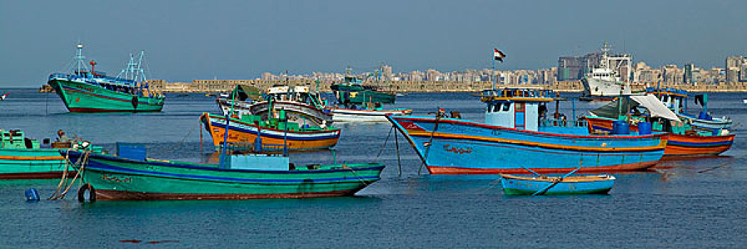 彩色,渔船,港口,亚历山大,埃及,地中海