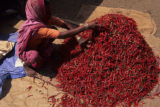 印度,中央邦,省,乡村,市场,女人,堆积,红色,智利,胡椒
