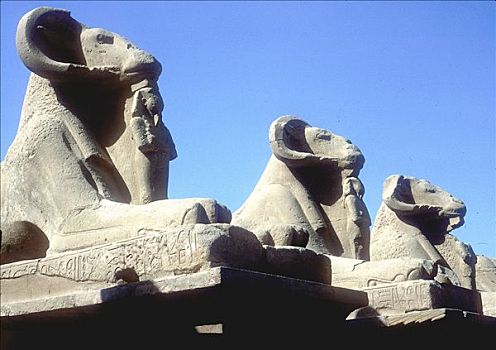 狮身人面像,阿蒙神庙,卡尔纳克神庙,埃及,艺术家,未知