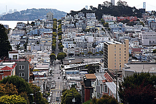 旧金山九曲花街,lombardstreet