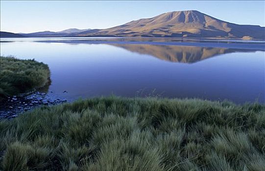 泻湖,国家公园,玻利维亚