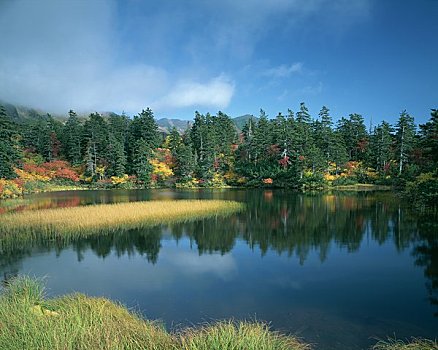 温泉,沼泽