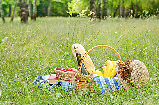 野餐篮,水果,葡萄酒,面包,草地,书本,草莓,帽子