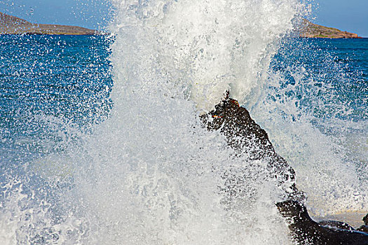 海浪,闯入,加拉帕戈斯群岛