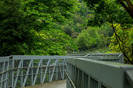 台湾新北市十分寮瀑布公园森林步道