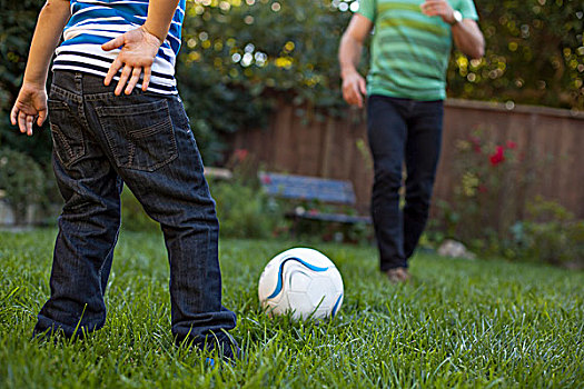 父子,玩,足球,花园