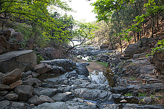 泰山景区