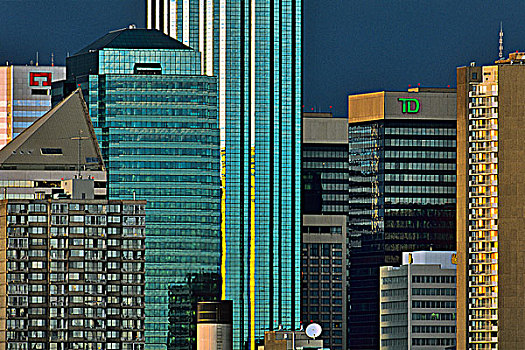 摩天大楼,城市,艾伯塔省,加拿大
