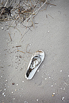 单,迷失,鞋,在海滩