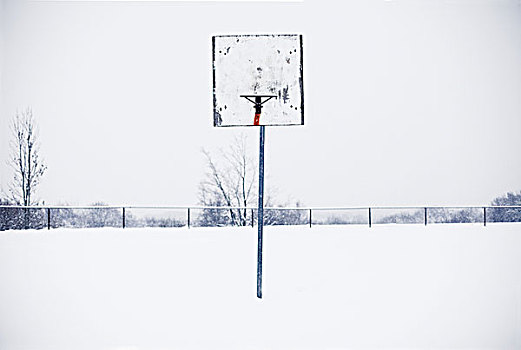 篮篮,雪中