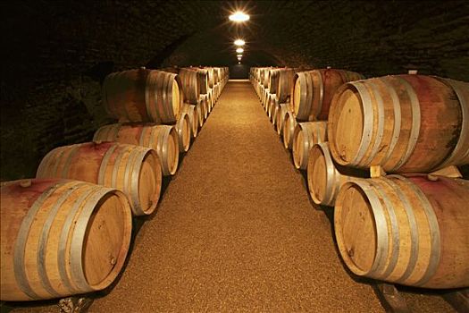 葡萄酒桶,酒窖