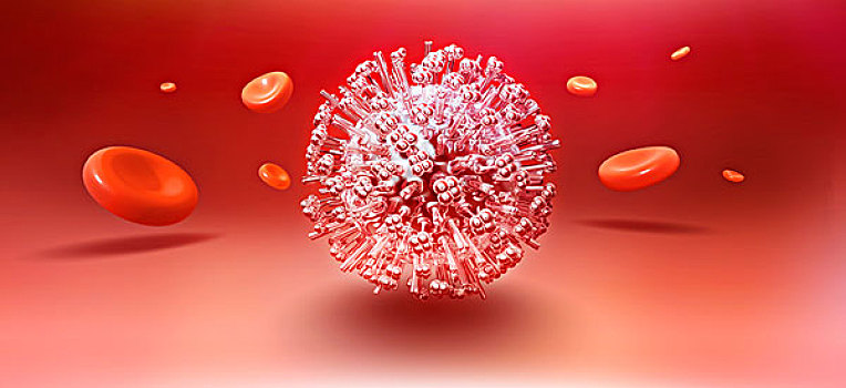 感冒,病毒,颗粒,围绕,漂浮,红血球