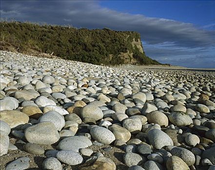 海滩,嘴,河,峡湾国家公园,新西兰