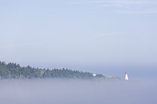 灯塔,雾,新斯科舍省,加拿大