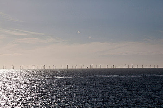 荷兰,风电场,海岸,北海