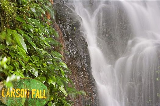 瀑布,小路,顶峰,攀升,京那巴鲁山,国家公园,沙巴