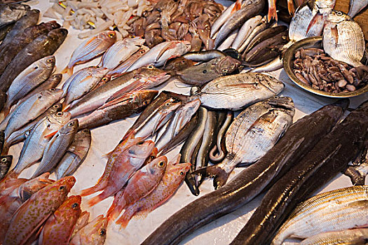 鱼肉,市场,苏维拉,摩洛哥