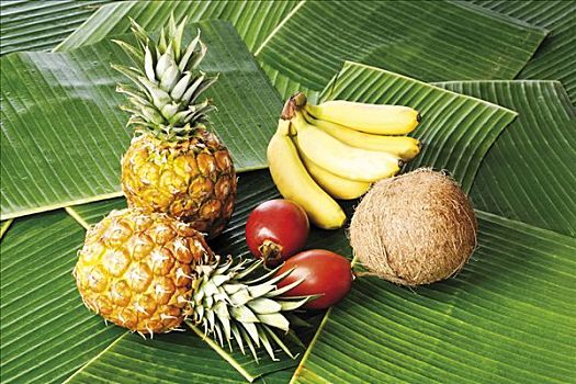 热带水果,床,香蕉叶,菠萝,番茄,茄属植物,椰子,椰,香蕉,香蕉科