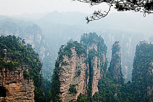 景色,区域,国家森林,公园,湖南,中国