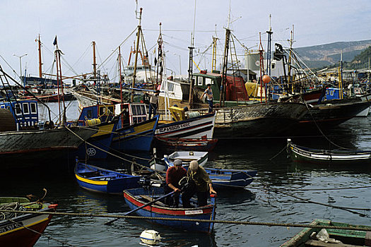 葡萄牙,渔村,彩色,渔船
