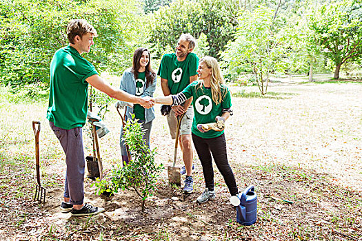 环保,志愿者,种植,新,树,握手
