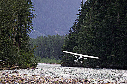 幼兽,水上飞机,起飞,院长,河,中心,海岸,不列颠哥伦比亚省,加拿大