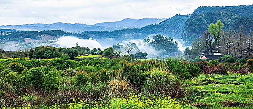 雾色山岭