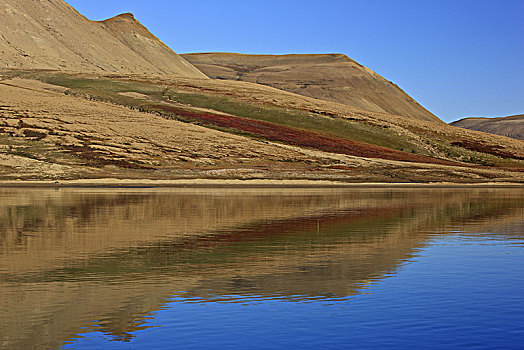 格陵兰,东方,沿岸,风景,山景