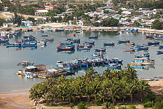 渔船,湾,宁顺,越南,亚洲