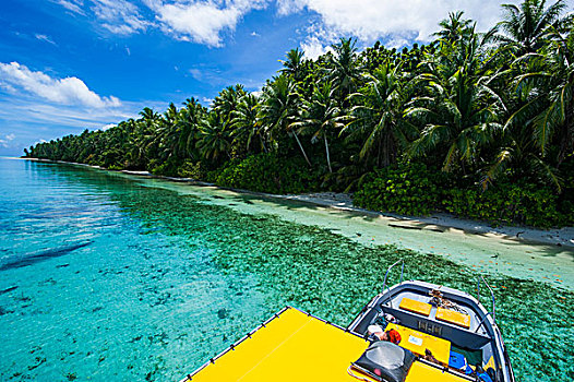 黄色,日光甲板,船,蚂蚁,环礁,密克罗尼西亚